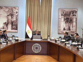 مجلس الوزراء المصري