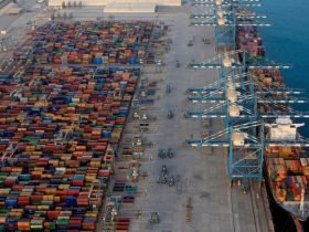 موانئ أبوظبي