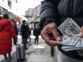 سعر الدولار