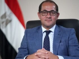 المالية
