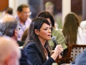 الشركات الناشئة