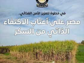 الاكتفاء الذاتي