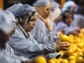 الصناعات الغذائية