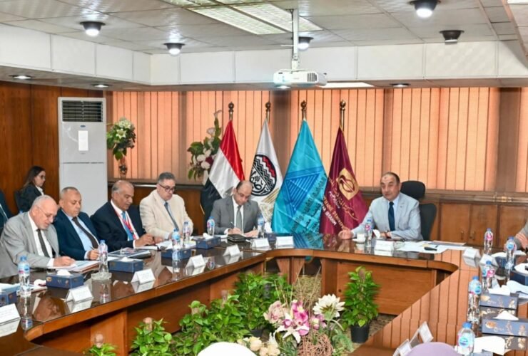 التطوير العقاري