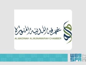 قطاع النقل