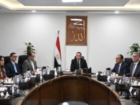 الطروحات الحكومية