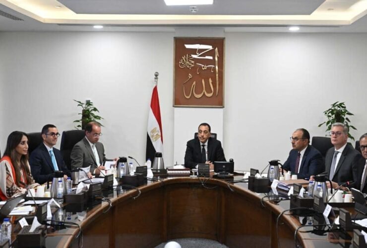 الطروحات الحكومية