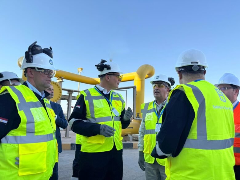 إنرجوس فورس