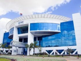 الشركات الناشئة