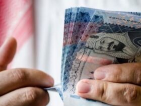 الصكوك المحلية