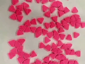 البريد المصري