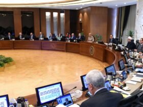 الحكومة المصرية