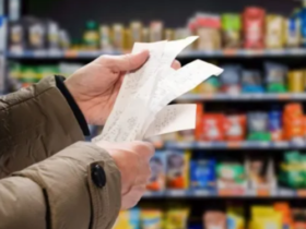 السلع الأساسية