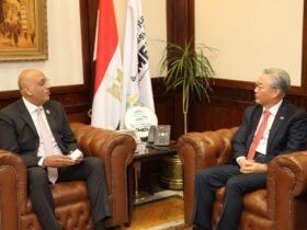 المشروعات الصغيرة