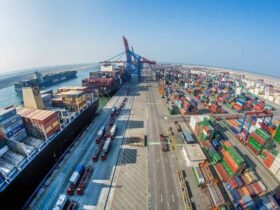 الأمن الغذائي