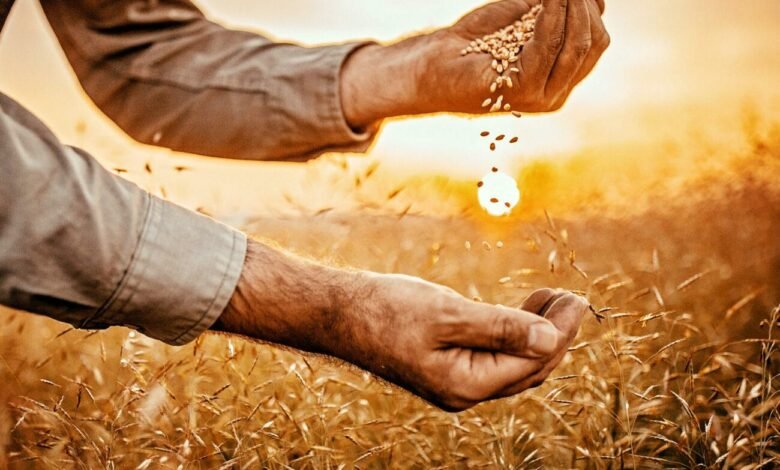 الأمن الغذائي