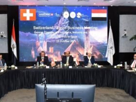 الاستثمارات السويسرية