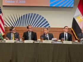 الاقتصاد المصري