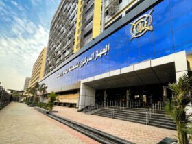 الصادرات المصرية