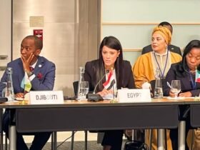 واردات الأدوية