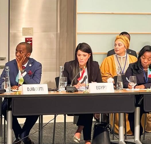 واردات الأدوية