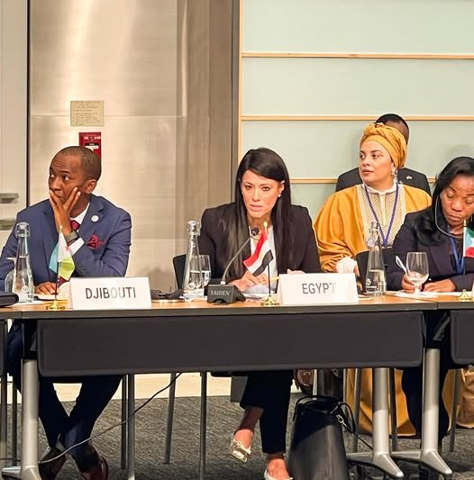 واردات الأدوية